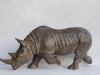 Rhino / Neushoorn